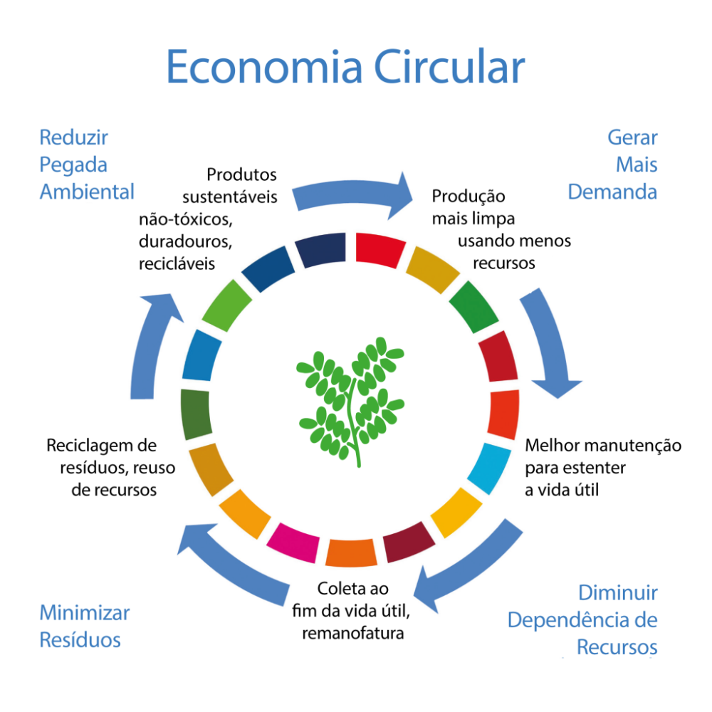Descrição de como funciona o ciclo da economia circular.
