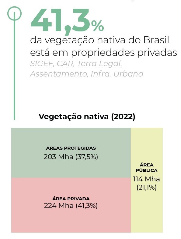 Conteúdo do artigo