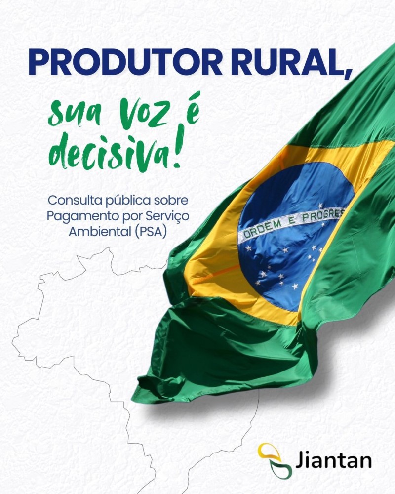 Conteúdo do artigo