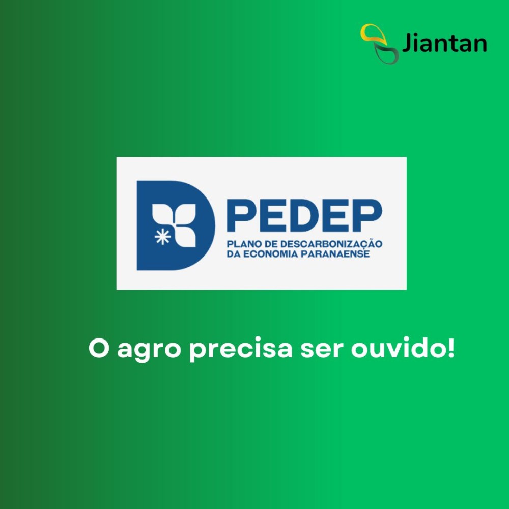 Conteúdo do artigo