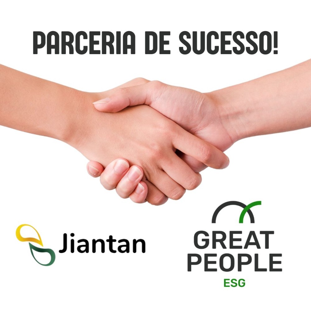 Conteúdo do artigo
