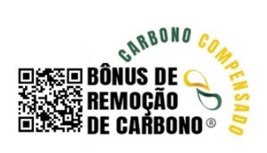 Conteúdo do artigo