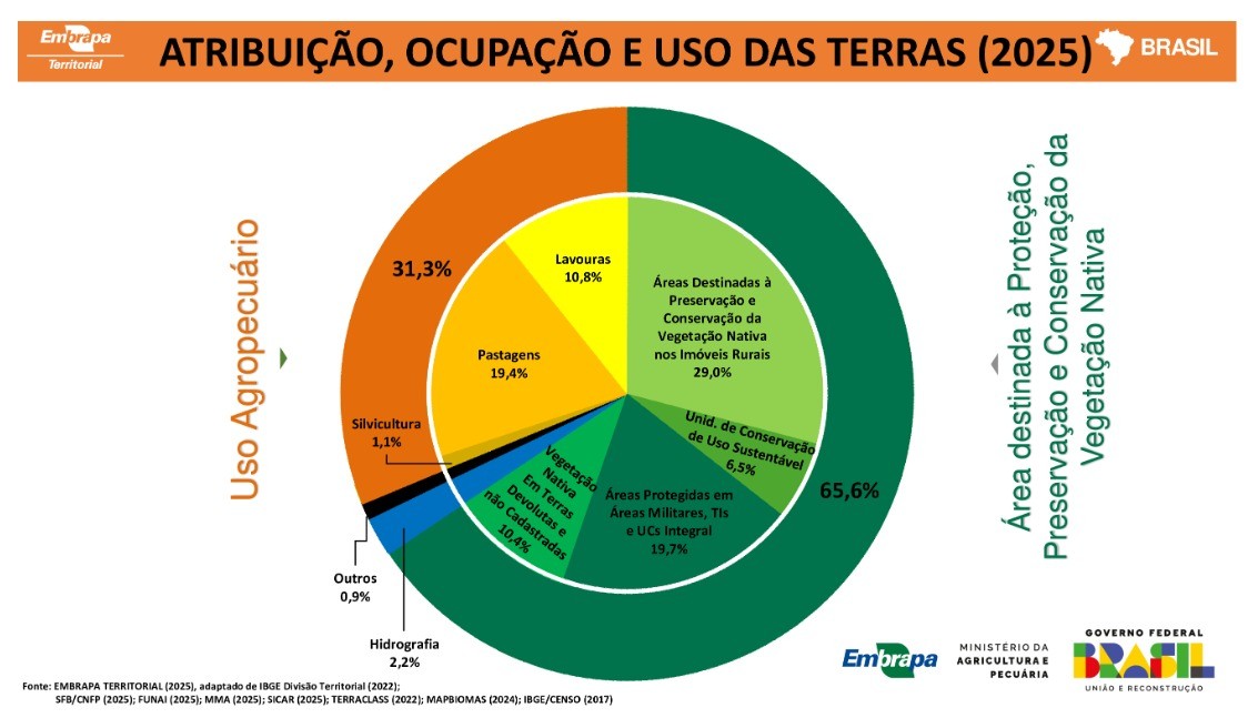 Conteúdo do artigo