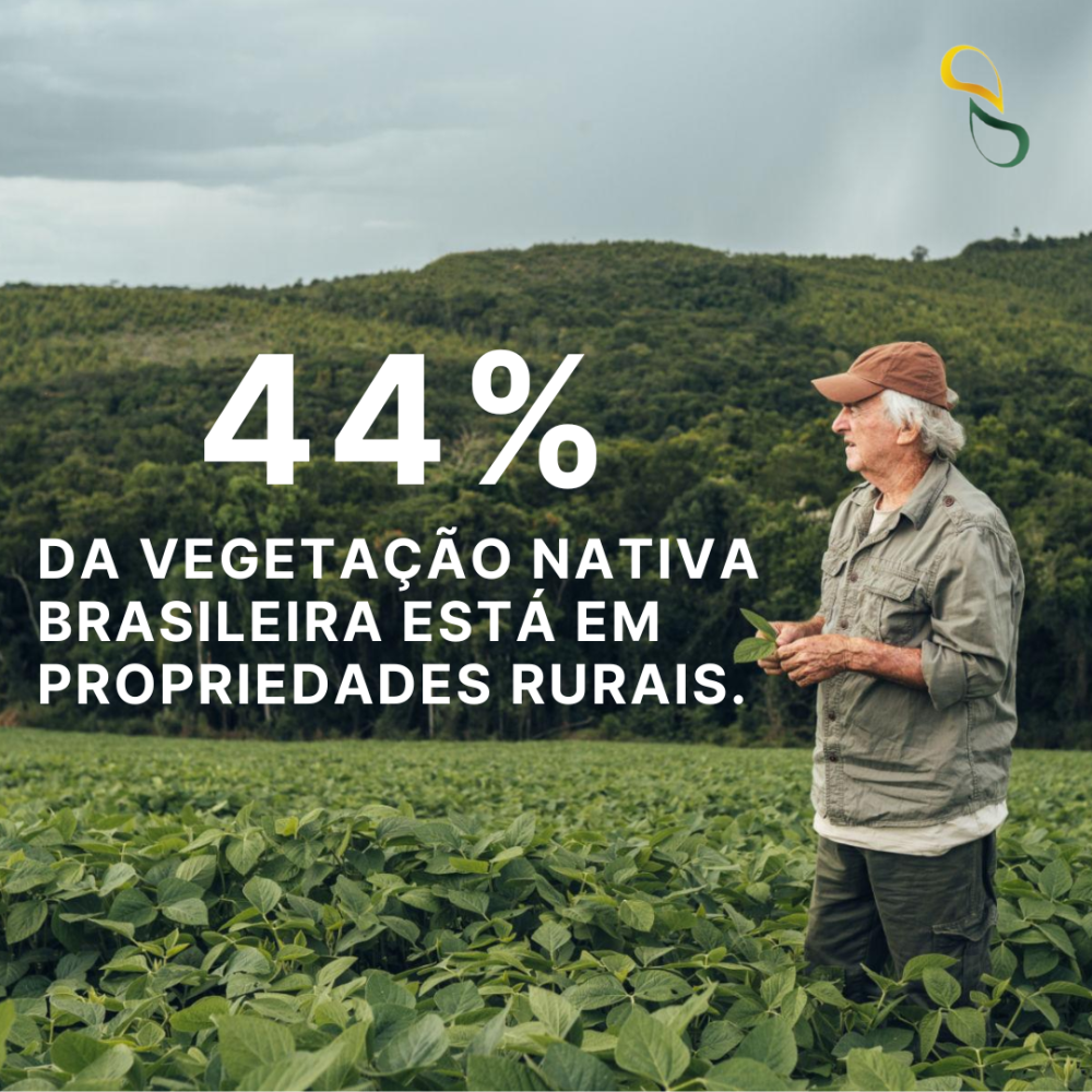 Conteúdo do artigo